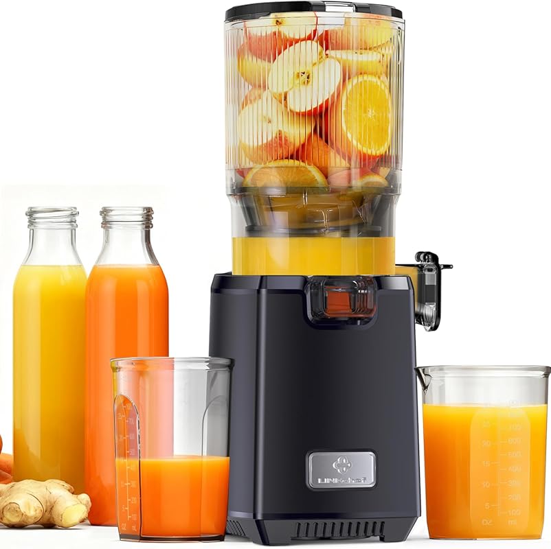 LINKChef 250W Masticating Cold Press Juicer, 130mm Whole Fruit Chute, 