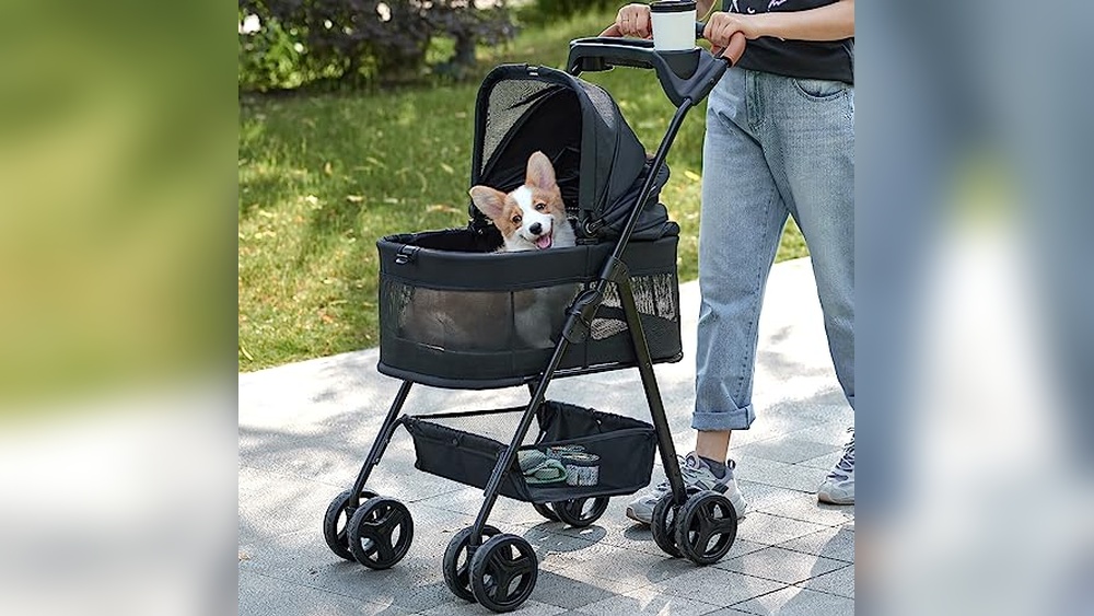 Best Cat Stroller With Detachable Carrier for Comfort and Convenience