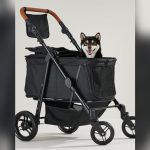 Best Dog Stroller For Large Dogs: Durable, Comfortable, and All-Terrain Options