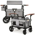 Best Double Stroller For Beach: Top All-Terrain Wagons for Kids