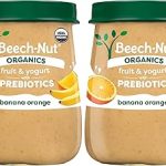 Beech-Nut Organic Fruit & Yogurt Baby