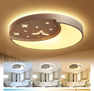 Flush Mount Ceiling Light