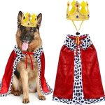 GOYOSWA Dog King Costume