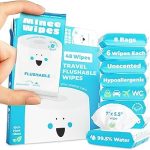 Impossibly Compact Travel Flushable Wipes