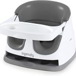 Ingenuity Baby Base 2-in-1 Booster Feeding