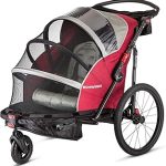 Schwinn Joyrider Deluxe Double Child Bike