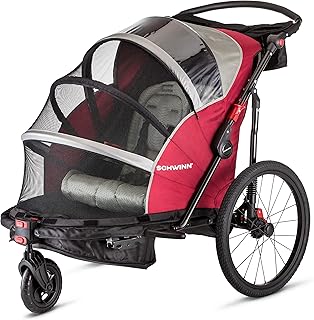 Schwinn Joyrider Deluxe Double Child Bike