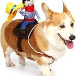 T2Y Cowboy Rider Dog Costume