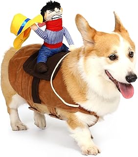 T2Y Cowboy Rider Dog Costume