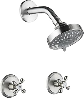 2 Handle Shower Faucet