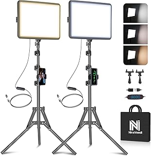 2-Pack LED Video Light Kit
