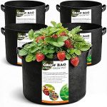 5 Gallon Grow Bags