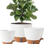 8/10/12 Inch Self Watering Pots Indoor/Outdoor