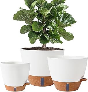 8/10/12 Inch Self Watering Pots Indoor/Outdoor