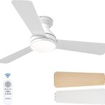 Amico Ceiling Fans Lights