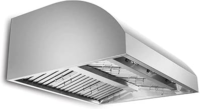 Blaze 42-Inch Outdoor Vent Hood