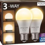 Briignite LED Light Bulbs