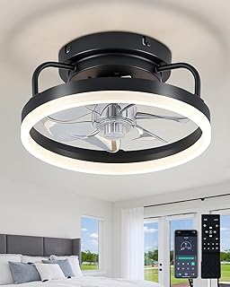 Ceiling Fan Lights Low Profile Fans