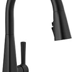 Delta Lenta Matte Black Kitchen Faucet