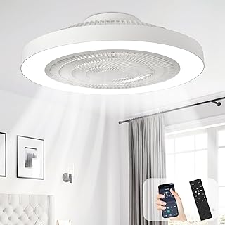 Depuley Modern Ceiling Fan Light