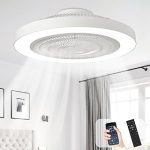 Depuley Modern Ceiling Fan Light