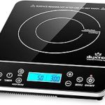 Duxtop Portable Induction Cooktop