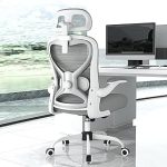 Ergonomic Office Chair Back & Neck