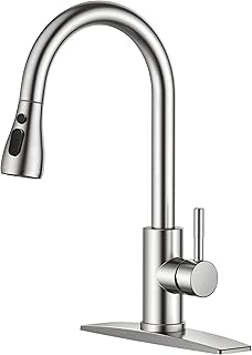 FORIOUS Kitchen Faucets Pull Down Sprayer