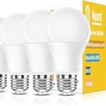 Full Spectrum Light Bulb