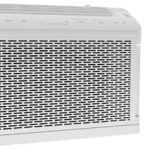 GE