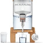 Invigorated Water pH Recharge Glass Alkaline