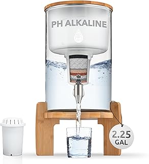 Invigorated Water pH Recharge Glass Alkaline