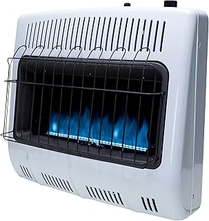 Mr. Heater 30 000 BTU Vent