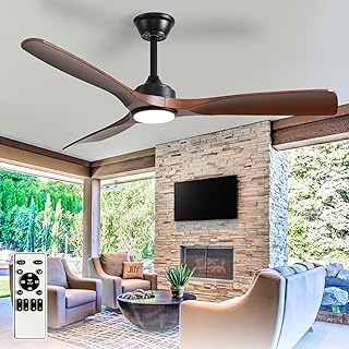 Outdoor Ceiling Fan Light