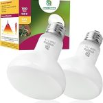 Reptile Heat Lamp Bulbs