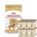 Royal Canin Breed Health Golden Retriever