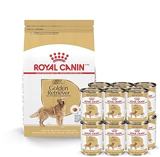 Royal Canin Breed Health Golden Retriever