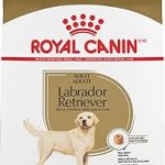 Royal Canin Breed Health Nutrition Labrador