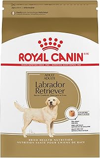 Royal Canin Breed Health Nutrition Labrador