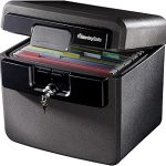 SentrySafe Black Fireproof Waterproof Safe