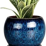 SQOWL 6 Inch Plant Pot