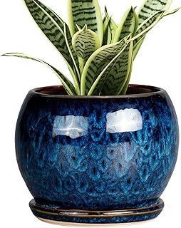 SQOWL 6 Inch Plant Pot