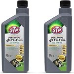STP Premium Small Engine 4 Cycle