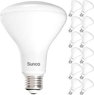 Sunco 12 BR30 Light Bulbs LED