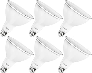 Sunco 6 Outdoor Flood Light Bulb