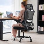 TRALT Office Chair Ergonomic Desk