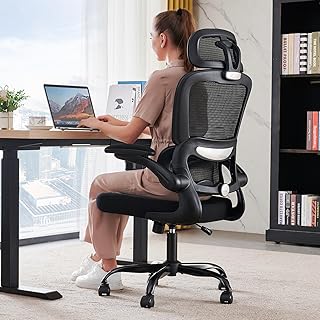 TRALT Office Chair Ergonomic Desk