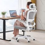 TRALT Office Chair Ergonomic Desk