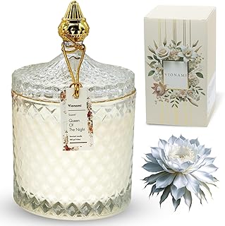 VIONAMI Luxury Scented Candle Gift