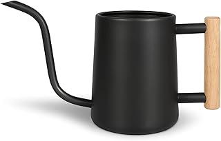 Watering Can Indoor Plants
